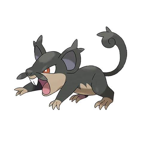 rattata-alola