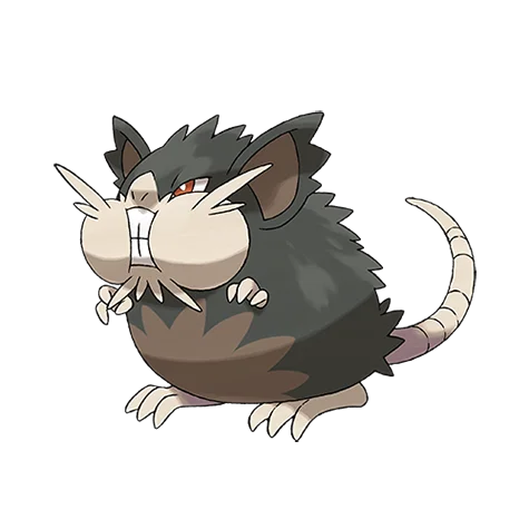 raticate-alola