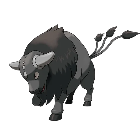 tauros-paldea-combat-breed