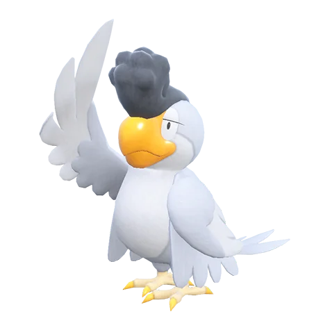 squawkabilly-white-plumage