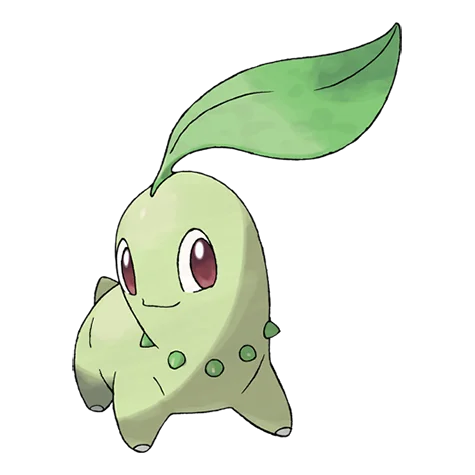 chikorita