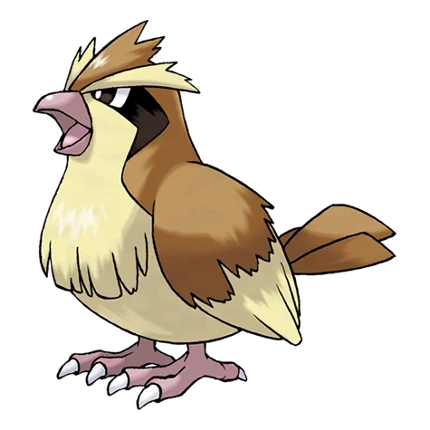 pidgey