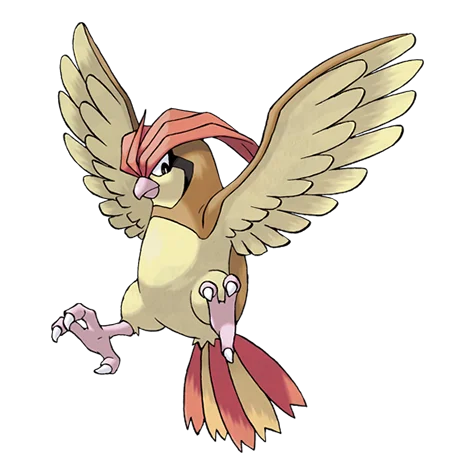 pidgeotto