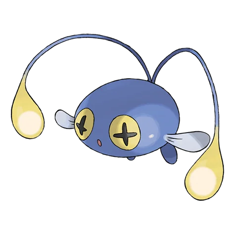 chinchou