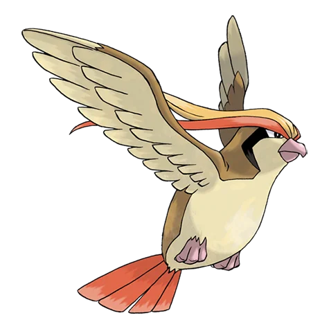 pidgeot