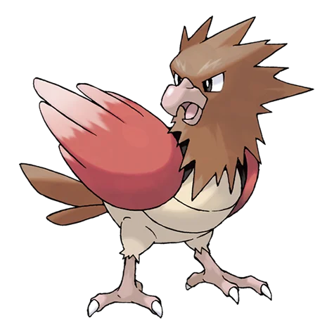 spearow