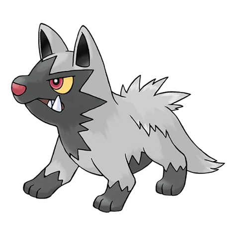 poochyena