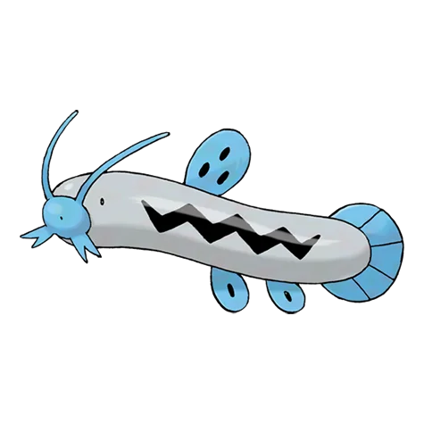 barboach