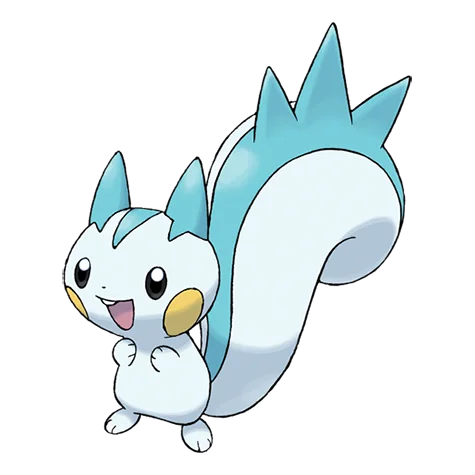 pachirisu