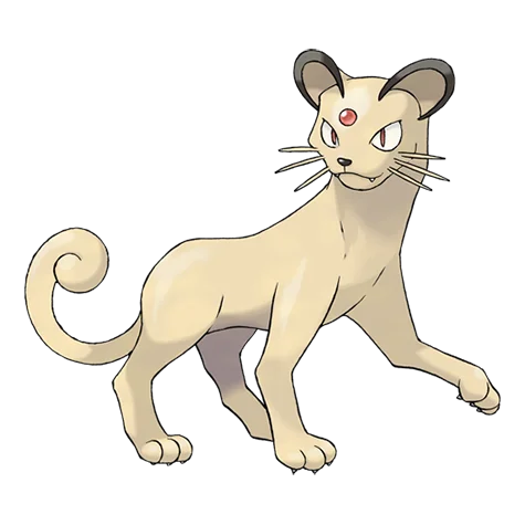 persian