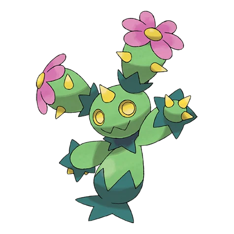maractus