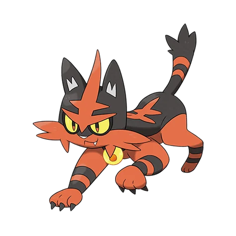 torracat