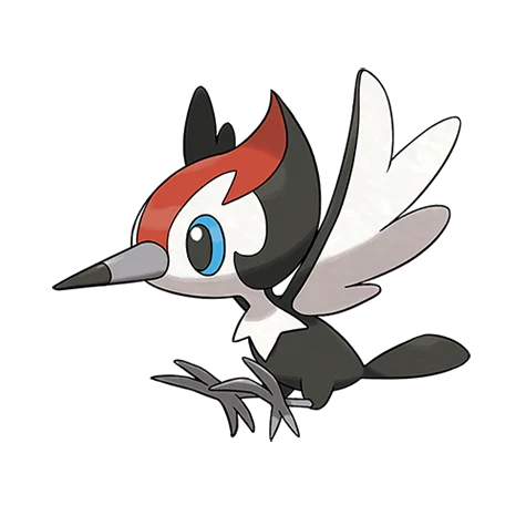 pikipek