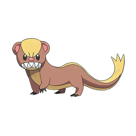 yungoos