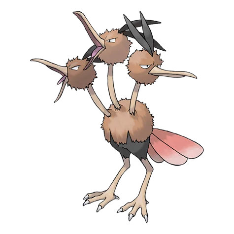 dodrio