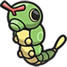 caterpie