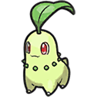 Chikorita