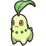 chikorita