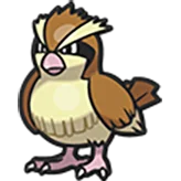 pidgey