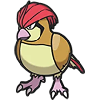 pidgeotto
