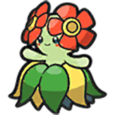 Bellossom