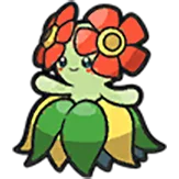 bellossom