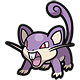 Rattata