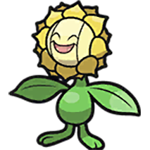 Sunflora