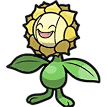 Sunflora