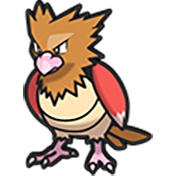 Spearow