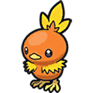 Torchic