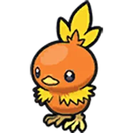 torchic