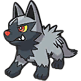 Poochyena