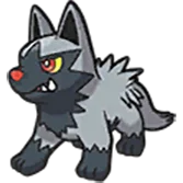 poochyena