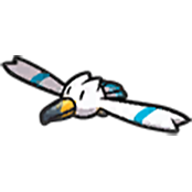 Wingull