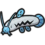 barboach