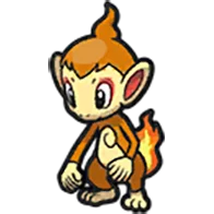 chimchar