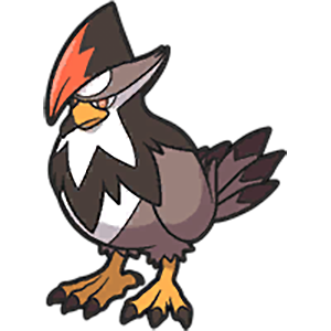 Staraptor