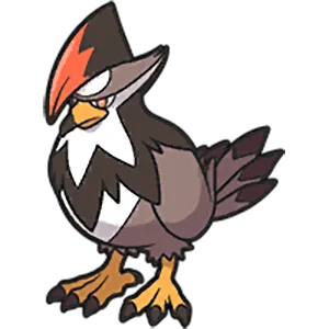staraptor
