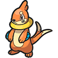 Buizel