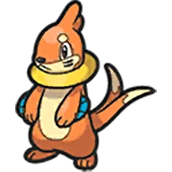 buizel