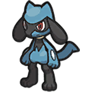 Riolu