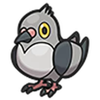 pidove