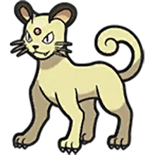 persian