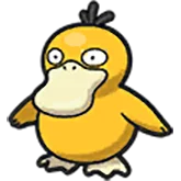 psyduck