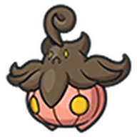 pumpkaboo-average
