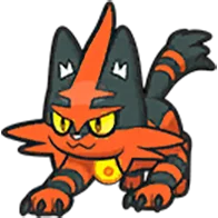 torracat