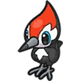 pikipek