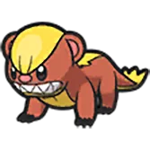 yungoos