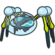 araquanid